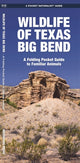 Book cover of: Wildlife of Texas Big Bend. By: Waterford Press Staff