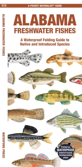 Book cover of: Alabama Freshwater Fishes. By: Waterford Press Staff