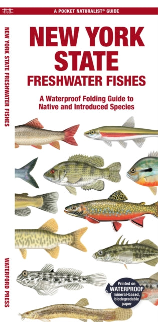 Book cover of: New York State Freshwater Fishes. By: Waterford Press Staff