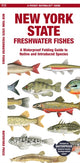 Book cover of: New York State Freshwater Fishes. By: Waterford Press Staff