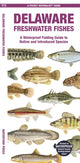 Book cover of: Delaware Freshwater Fishes. By: Waterford Press Staff