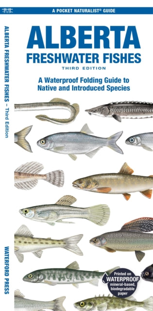 Book cover of: Alberta Freshwater Fishes. By: Matthew Morris
