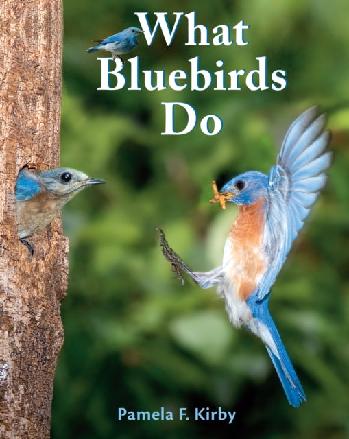 Book cover of: What Bluebirds Do. By: Pamela F. Kirby
