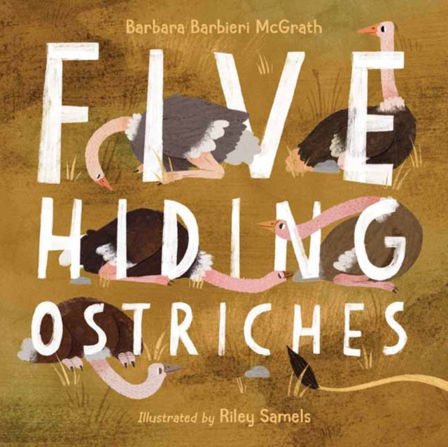 Book cover of: Five Hiding Ostriches. By: Barbara Barbieri McGrath