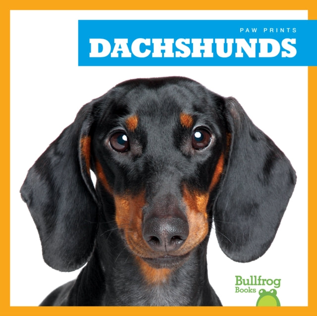 Book cover of: Dachshunds. By: Kaitlyn Duling