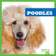Book cover of: Poodles