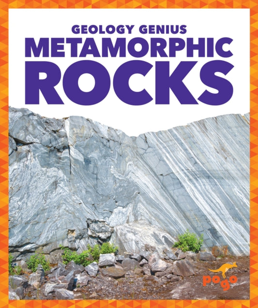 Book cover of: Metamorphic Rocks. By: Rebecca Pettiford
