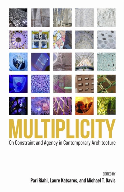 Book cover of: Multiplicity. By: Pari Riahi
