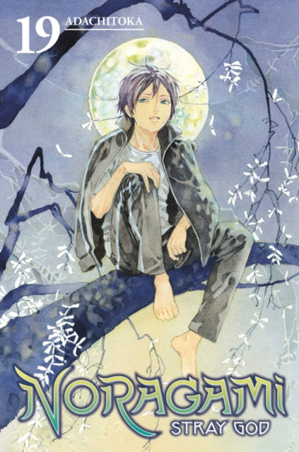 Book cover of: Noragami: Stray God 19. By: あだちとか