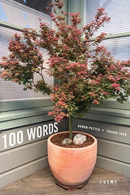 Book cover of: 100 Words – Poems. By: Damon Potter