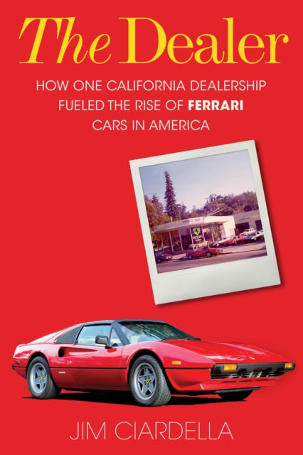 Book cover of: Dealer. By: Jim Ciardella