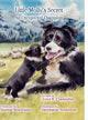 Book cover of: Little Molly's Secret