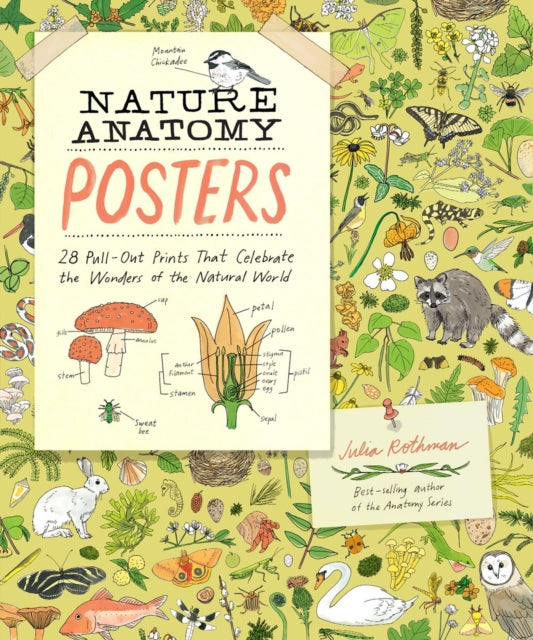 Book cover of: Nature Anatomy Posters. By: Julia Rothman