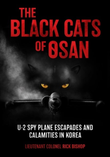 Book cover of: Black Cats of Osan. By: Rick Bishop