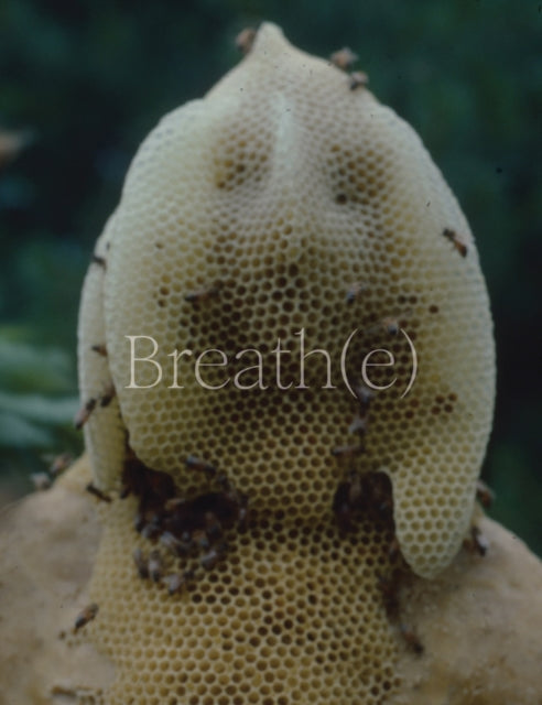 Book cover of: Breath(e): Toward Climate and Social Justice. By: Glenn Kaino