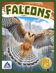 Book cover of: Falcons. By: Connor Stratton