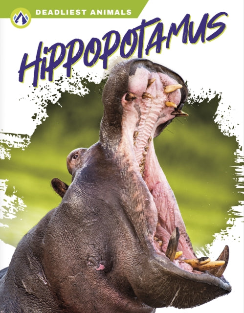 Book cover of: Hippopotamus. By: Golriz Golkar