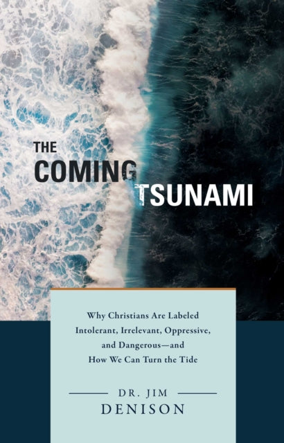 Book cover of: Coming Tsunami. By: Jim Denison