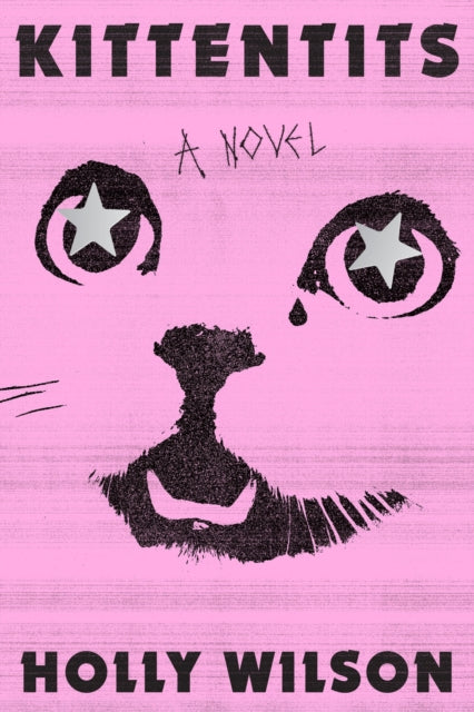 Book cover of: Kittentits