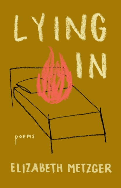 Book cover of: Lying In. By: Elizabeth Metzger