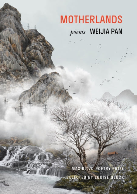 Book cover of: Motherlands. By: S. Suneja
