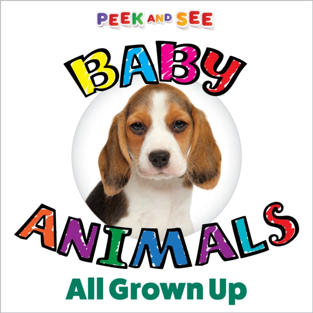 Peek and See Baby Animals All Grown Up 9781641242981 Editors of Happy Fox Books