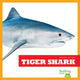 Book cover of: Tiger Shark