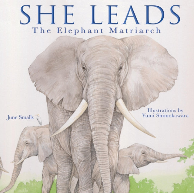 Book cover of: She Leads. By: June Smalls