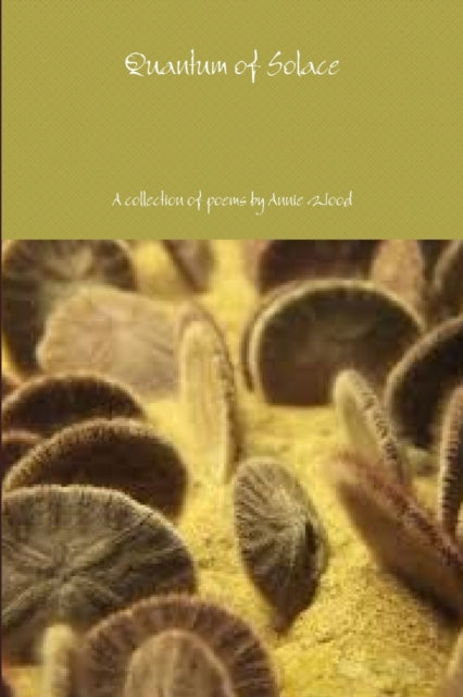 Book cover of: Quantum of Solace. By: Annie Wood