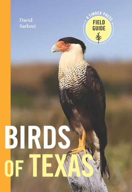 Book cover of: Birds of Texas. By: David Sarkozi