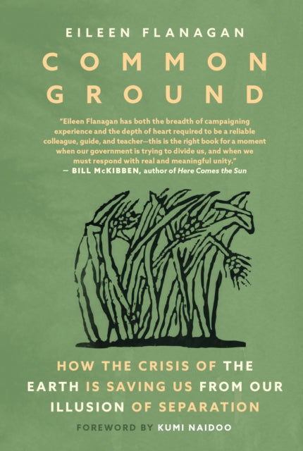 Common Ground, Stories of Resistance and Healing from the Movement to Protect the Earth 9781644214787 Eileen Flanagan