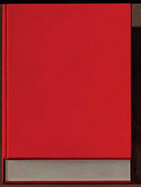Book cover of: Liu Ye: The Book Paintings. By: Liu Ye