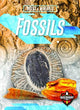 Book cover of: Fossils. By: Patrick Perish