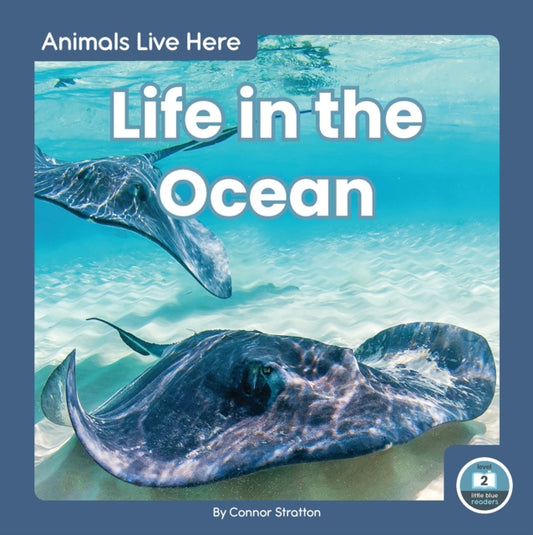 Book cover of: Life in the Ocean. By: Connor Stratton