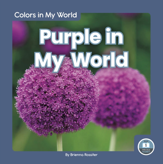 Book cover of: Purple in My World. By: Brienna Rossiter