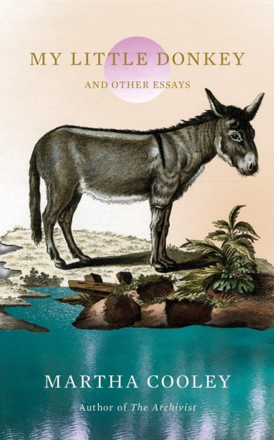 Book cover of: My Little Donkey