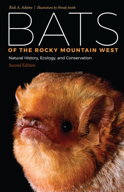 Book cover of: Bats of the Rocky Mountain West. By: Rick A. Adams