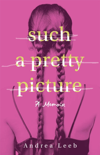 Book cover of: Such a Pretty Picture