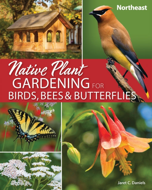 Book cover of: Native Plant Gardening for Birds, Bees & Butterflies: Northeast. By: Jaret C. Daniels