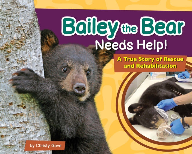 Book cover of: Bailey the Bear Needs Help!. By: Christy Gove