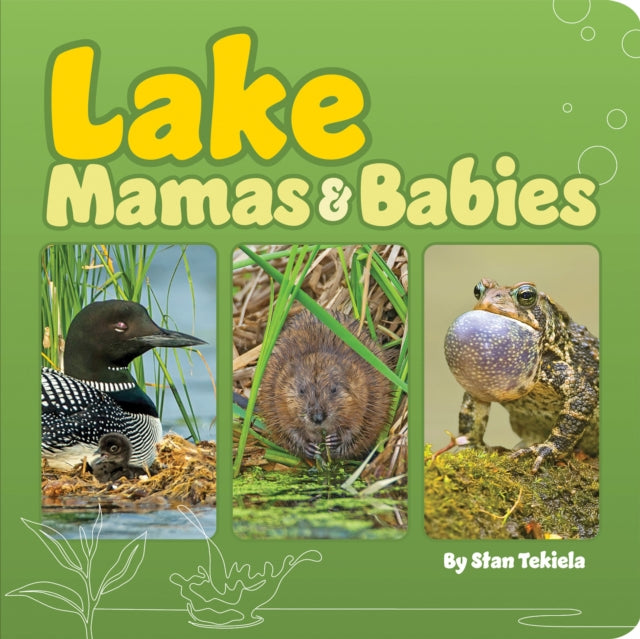 Book cover of: Lake Mamas and Babies. By: Stan Tekiela