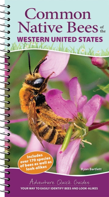 Book cover of: Common Native Bees of the Western United States. By: Ryan Bartlett