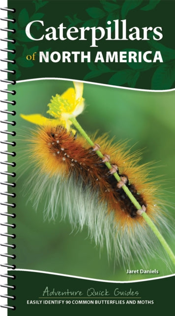 Book cover of: Caterpillars of North America. By: Jaret C. Daniels