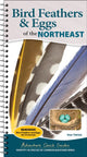 Book cover of: Bird Feathers & Eggs of the Northeast