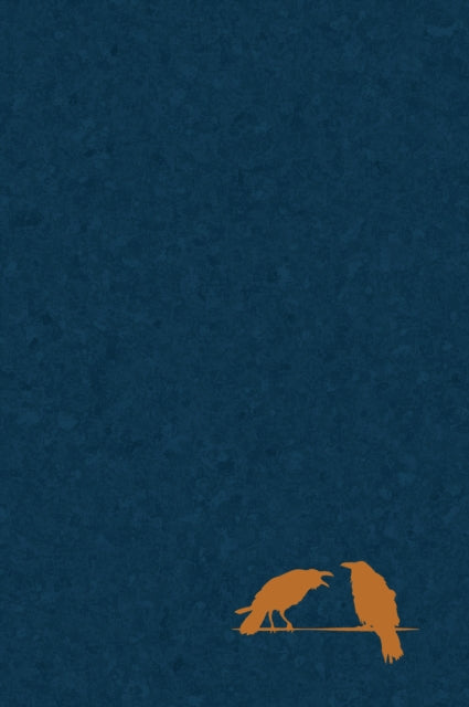 Book cover of: Wanderer's Journal