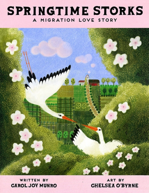 Book cover of: Springtime Storks. By: Carol Munro