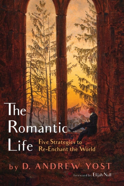 Book cover of: Romantic Life. By: D. Andrew Yost