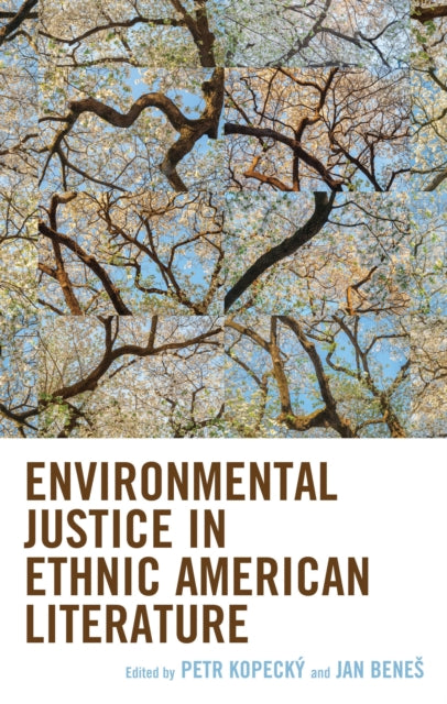 Book cover of: Environmental Justice in Ethnic American Literature. By: Petr Kopecký