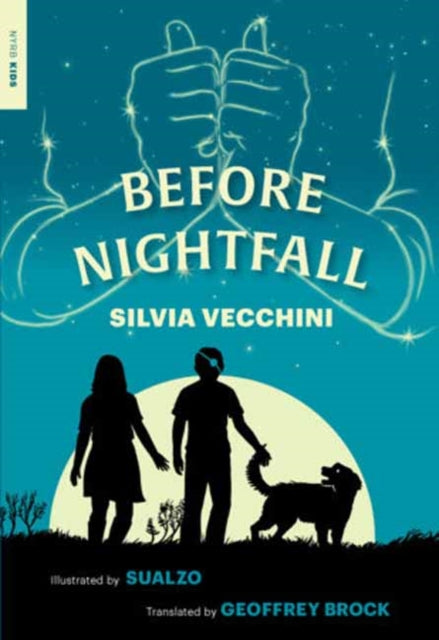 Book cover of: Before Nightfall. By: Silvia VECCHINI