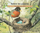 Book cover of: Sobre los pajaros/ About Birds. By: Cathryn P. Sill
